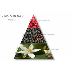 Naturalmila Room Diffuser – Red Grape