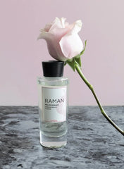 Raman Diffuser
