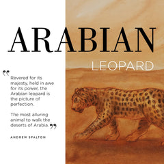 Arabian Leopard: Treasures of Alula