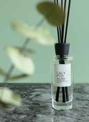 Calypto Diffuser