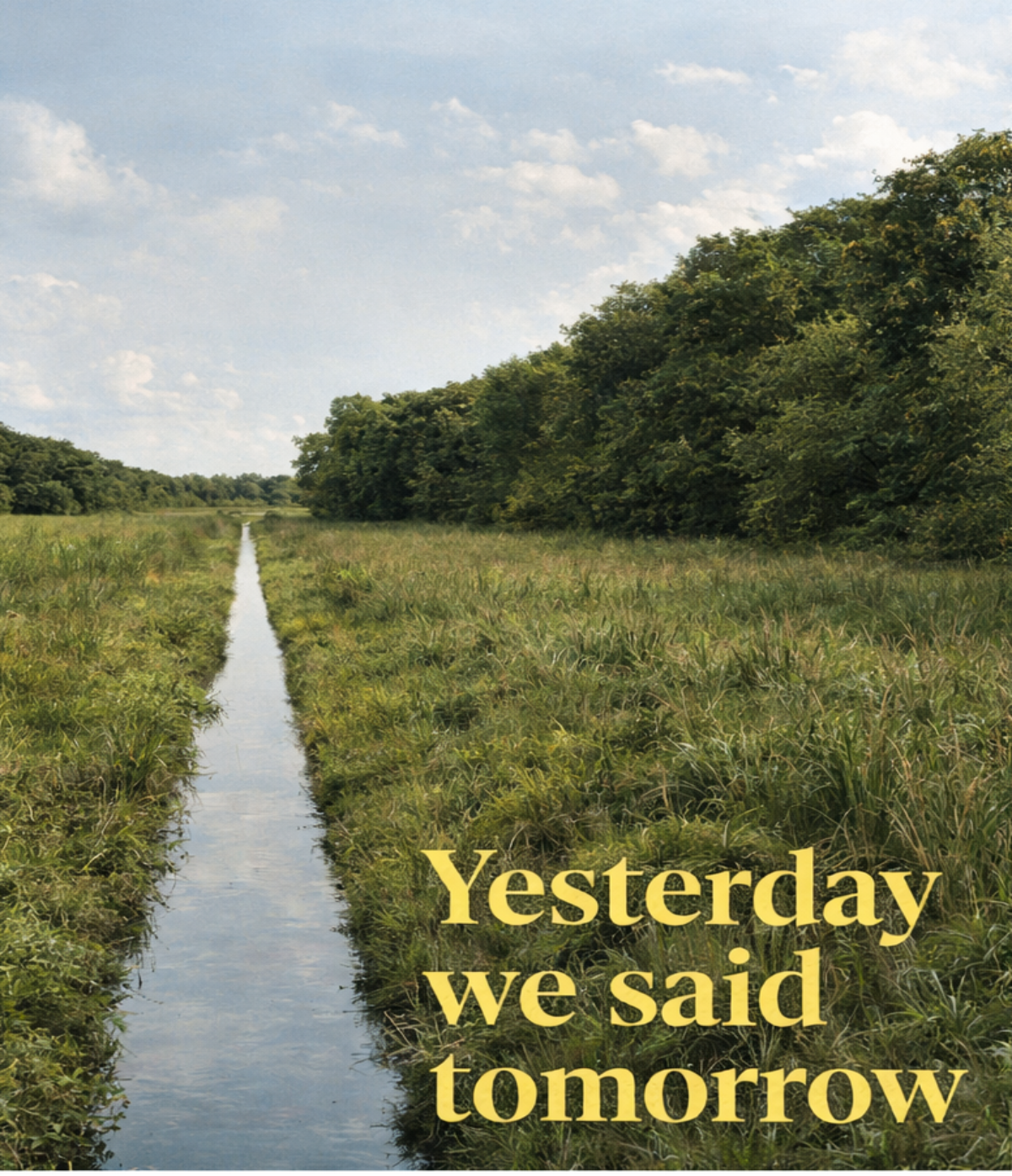 Yesterday We Said Tomorrow