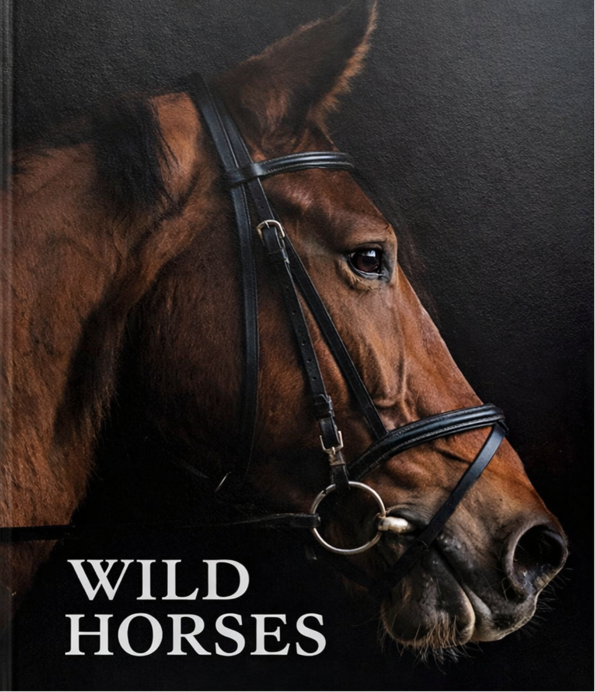 Wild Horses