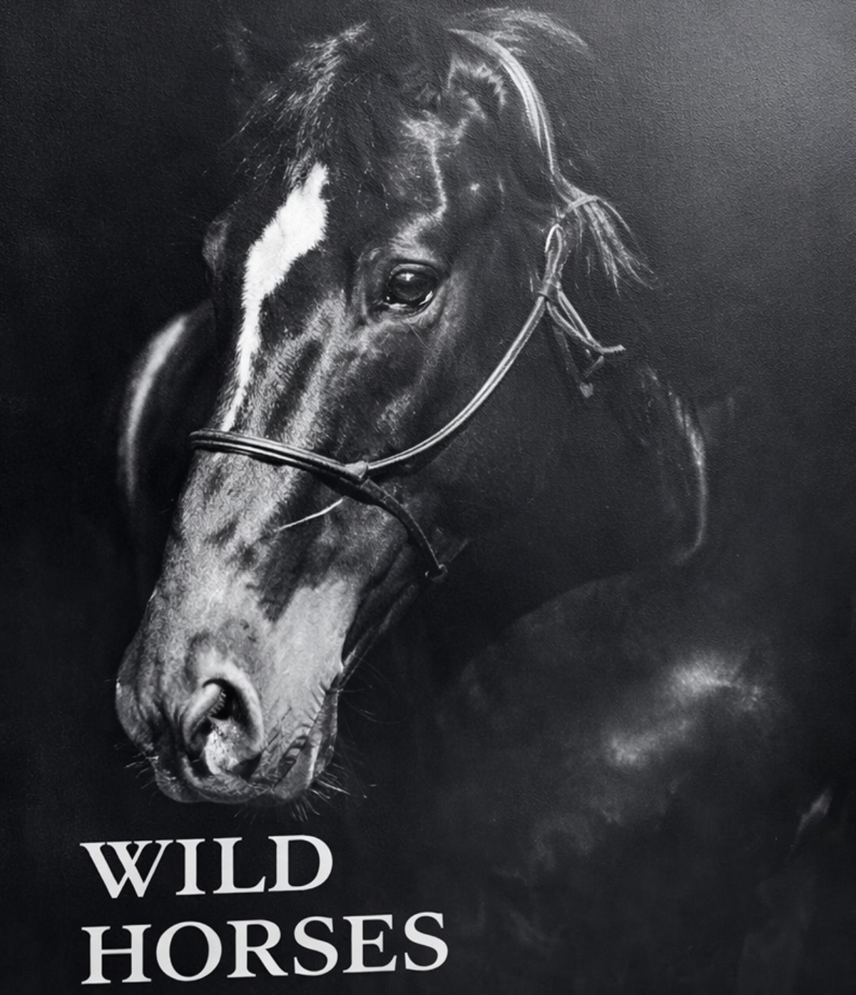 Wild Horses