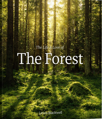 The Forest