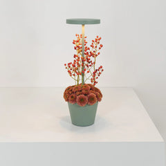 Zafferano Poldina Reservo Table Lamp – Green