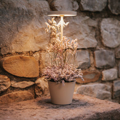 Zafferano Poldina Reservo Table Lamp
