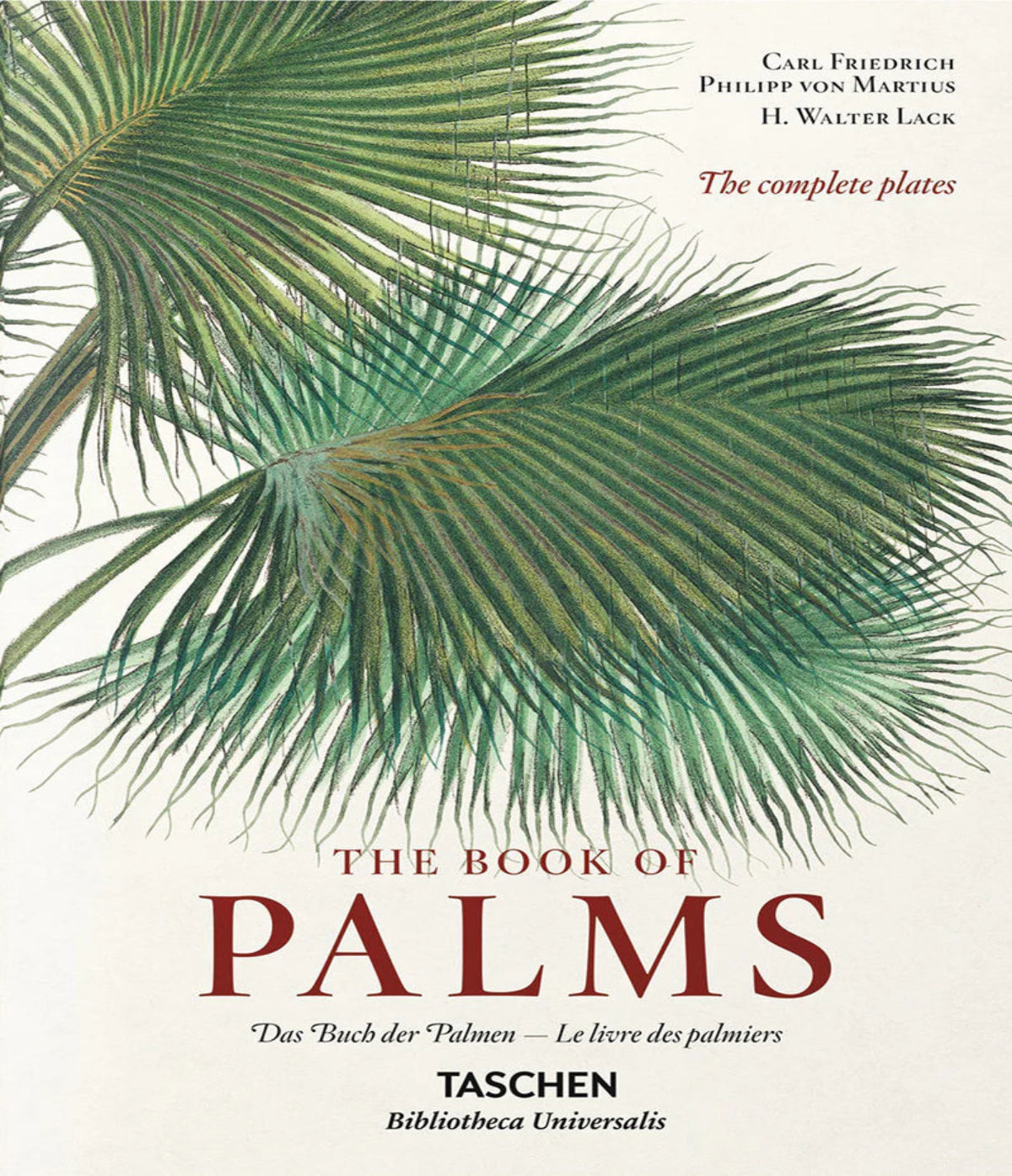 The Book of Palms