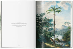 The Book of Palms