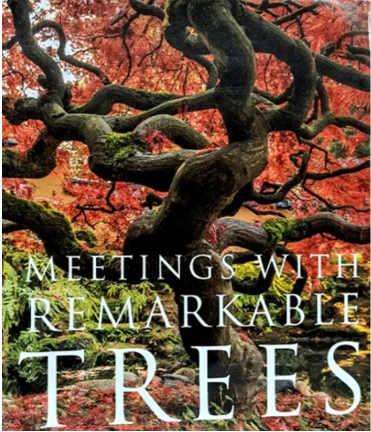 Meetings with Remarkable Trees 02