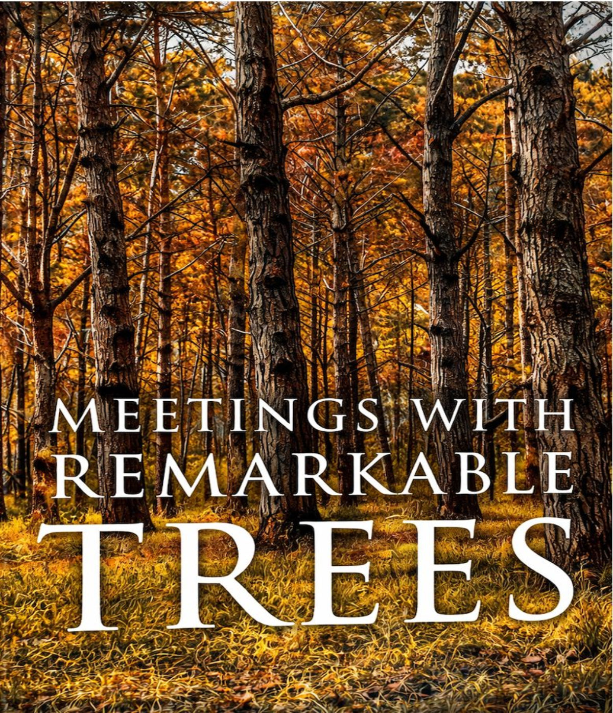 Meetings with Remarkable Trees 01