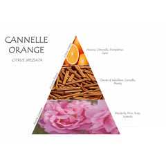 Naturalmila Room Diffuser – Orange and Cinnamon